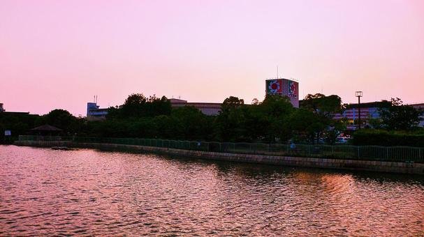 🏞️ 이치바 연못 공원 (이치바이케 코엔) 이미지 6